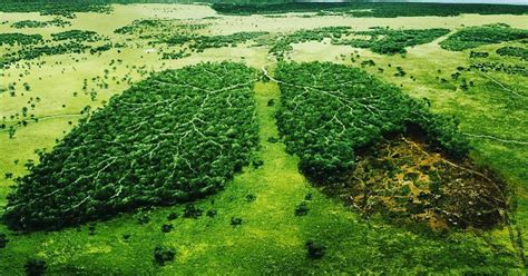 8billiontree|Iba pa.